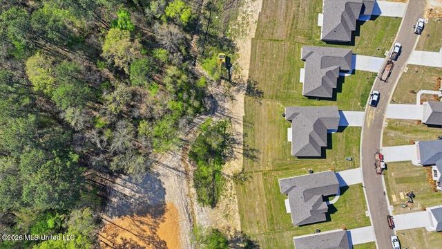 209 Anderson Oaks Drive, Pearl, MS 39208