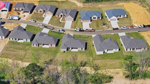 209 Anderson Oaks Drive, Pearl, MS 39208