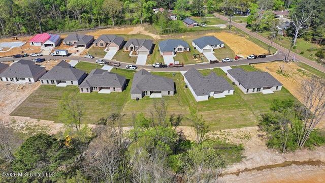 209 Anderson Oaks Drive, Pearl, MS 39208