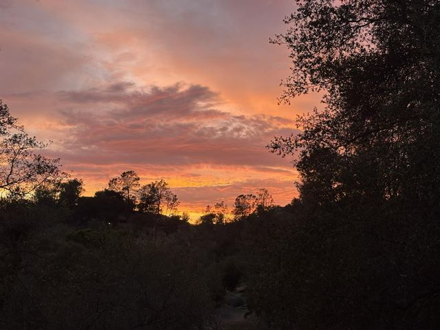 42011 Long Hollow, Coarsegold, CA 93614