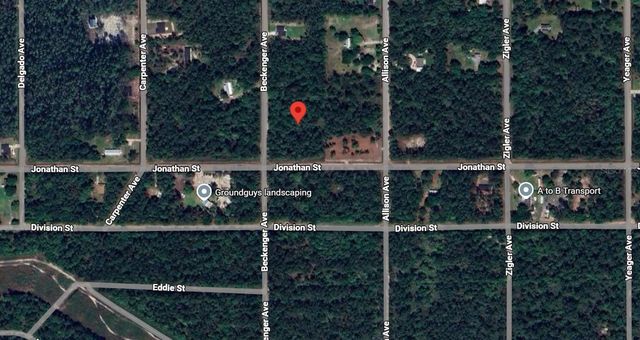 10720 BECKENGER AVENUE, Hastings, FL 32145