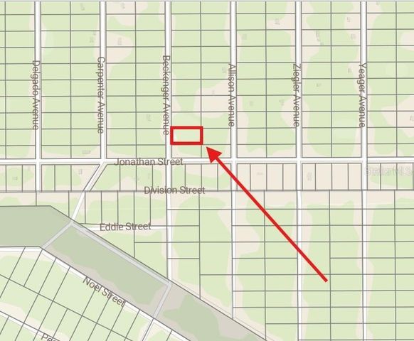 10720 BECKENGER AVENUE, Hastings, FL 32145