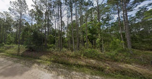 10720 BECKENGER AVENUE, Hastings, FL 32145