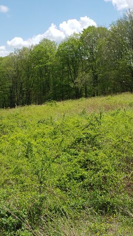 Lot 5 Milton Road, Goshen, CT 06756