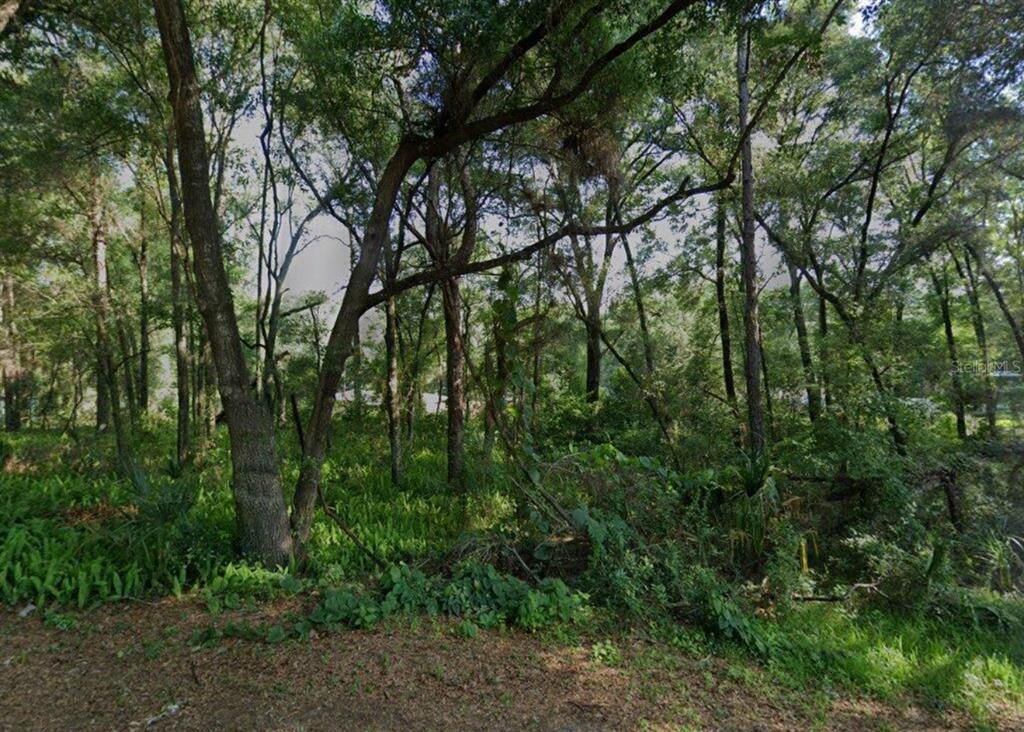 3015 EISENHOWER STREET W, Inverness, FL 34453
