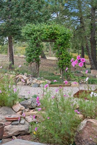 14229 Elk Mountain Trail, Littleton, CO 80127