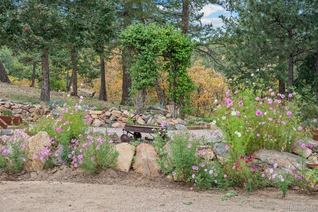14229 Elk Mountain Trail, Littleton, CO 80127