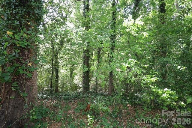 1609 Maribel Avenue, Charlotte, NC 28216