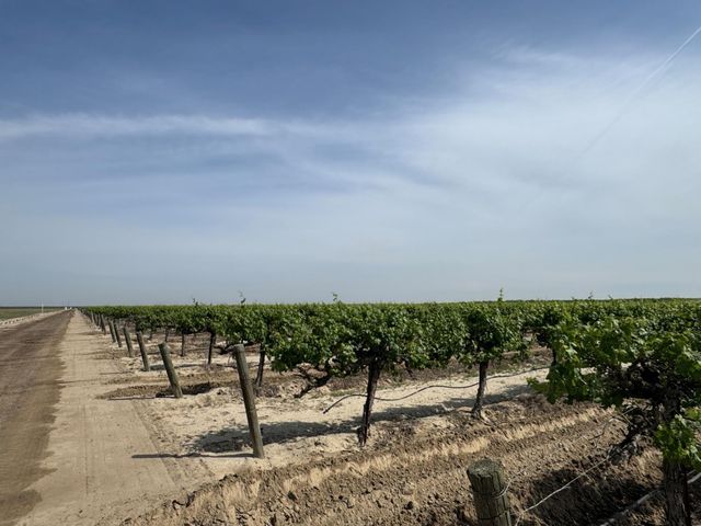 9495 W Kamm Avenue, Caruthers, CA 93609