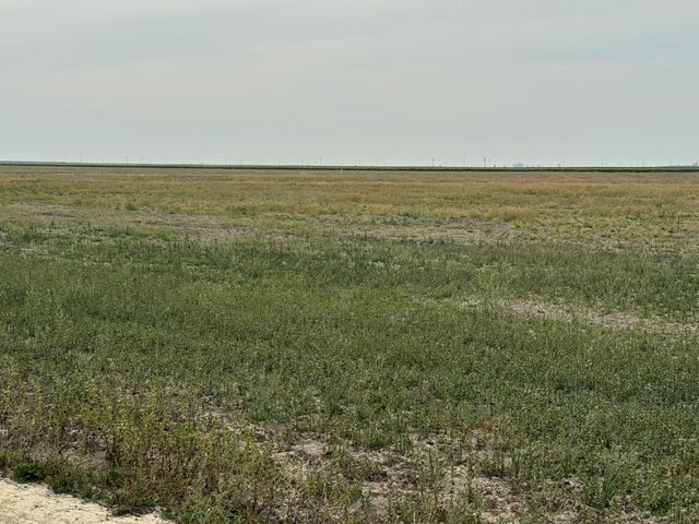 9495 W Kamm Avenue, Caruthers, CA 93609