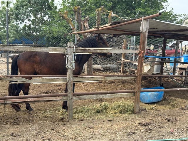 9495 W Kamm Avenue, Caruthers, CA 93609