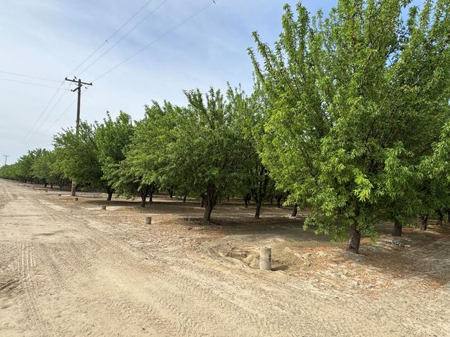 9495 W Kamm Avenue, Caruthers, CA 93609