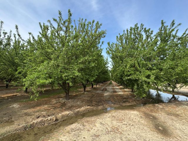 9495 W Kamm Avenue, Caruthers, CA 93609