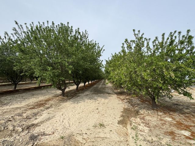 9495 W Kamm Avenue, Caruthers, CA 93609