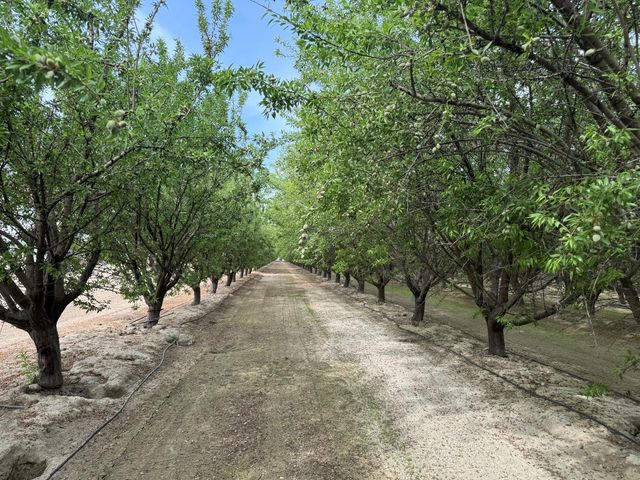 9495 W Kamm Avenue, Caruthers, CA 93609