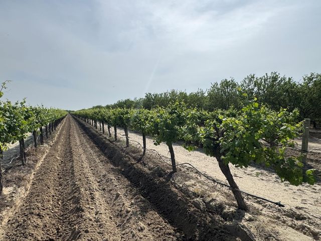 9495 W Kamm Avenue, Caruthers, CA 93609