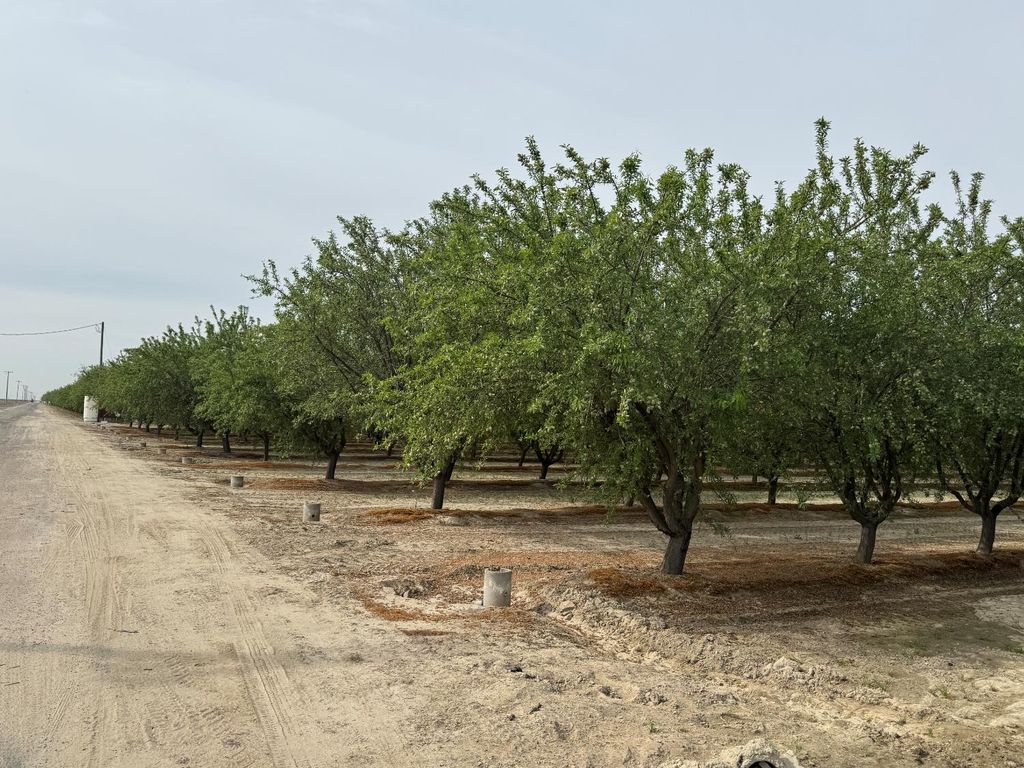 9495 W Kamm Avenue, Caruthers, CA 93609