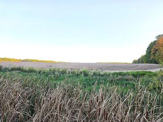 Wildt Highway, Bellevue, MI 49021
