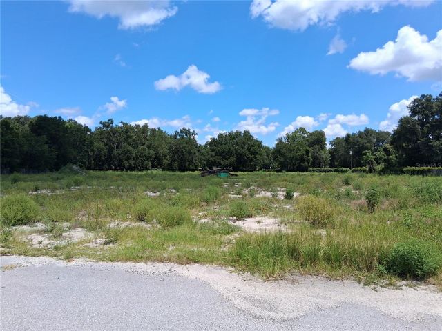 11470 CR 727, Webster, FL 33597