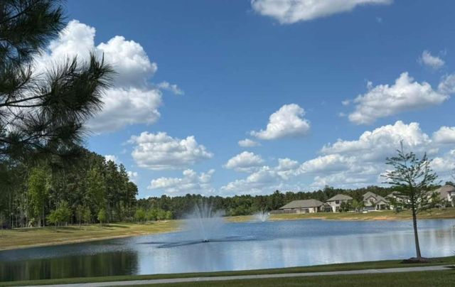 15349 Dapple Bluff Lane, Conroe, TX 77302