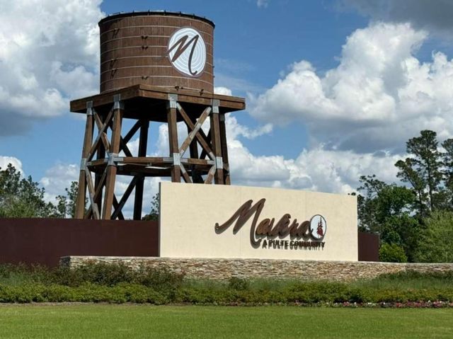 15349 Dapple Bluff Lane, Conroe, TX 77302