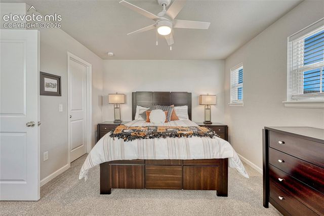 5340 Dusky Grouse Point, Colorado Springs, CO 80924