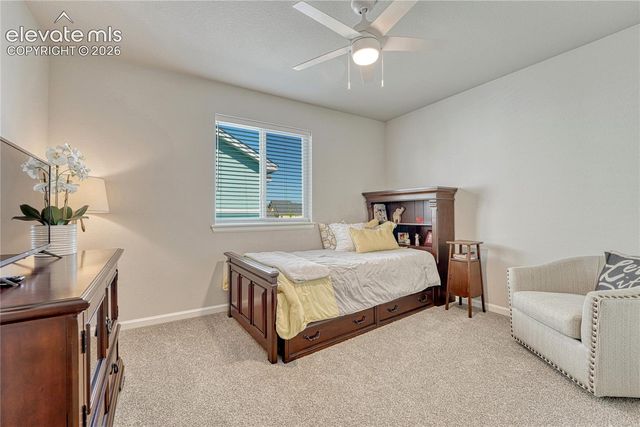 5340 Dusky Grouse Point, Colorado Springs, CO 80924
