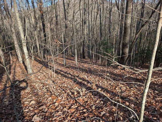 Lot 20 Wilderness Creek Way, Murphy, NC 28906