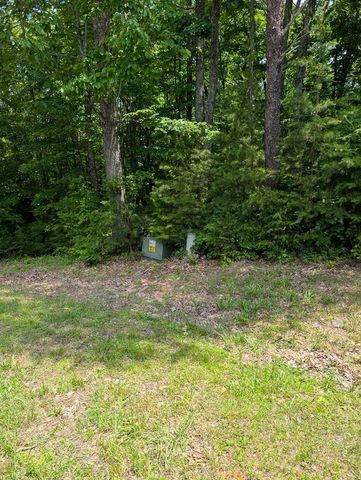 Lot 20 Wilderness Creek Way, Murphy, NC 28906