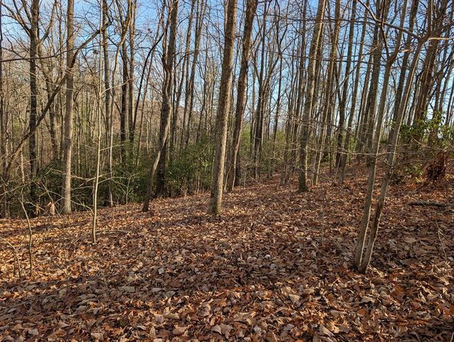 Lot 20 Wilderness Creek Way, Murphy, NC 28906