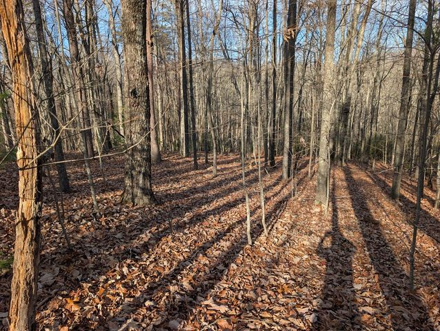 Lot 20 Wilderness Creek Way, Murphy, NC 28906