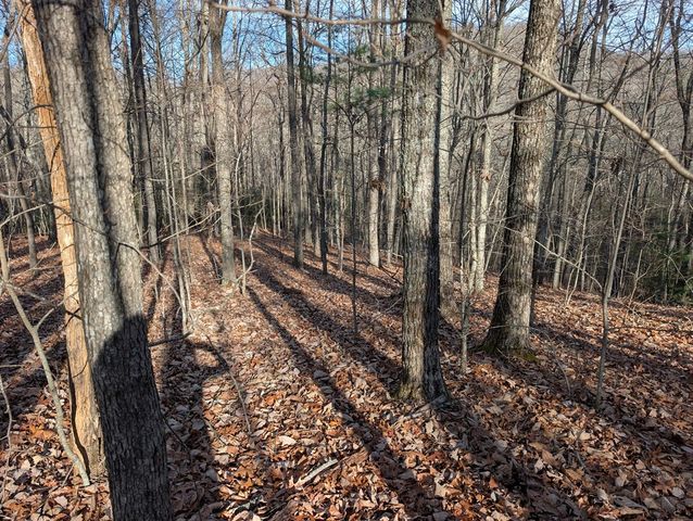 Lot 20 Wilderness Creek Way, Murphy, NC 28906