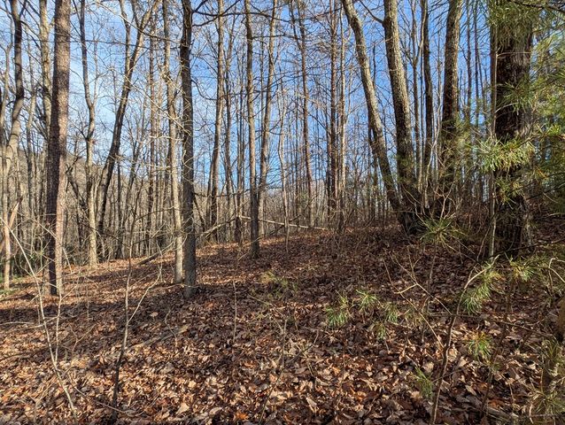 Lot 20 Wilderness Creek Way, Murphy, NC 28906