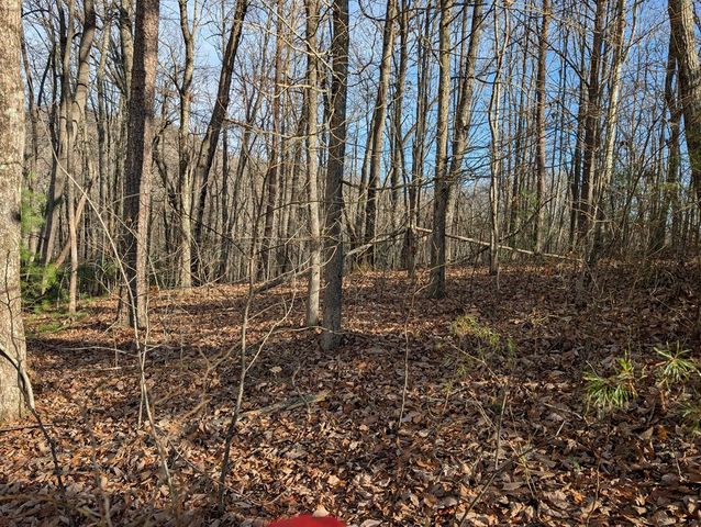 Lot 20 Wilderness Creek Way, Murphy, NC 28906