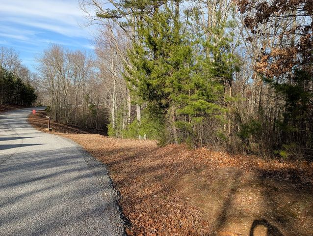 Lot 20 Wilderness Creek Way, Murphy, NC 28906