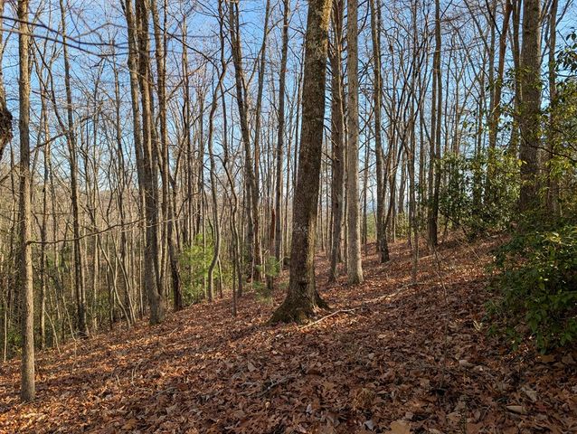 Lot 20 Wilderness Creek Way, Murphy, NC 28906