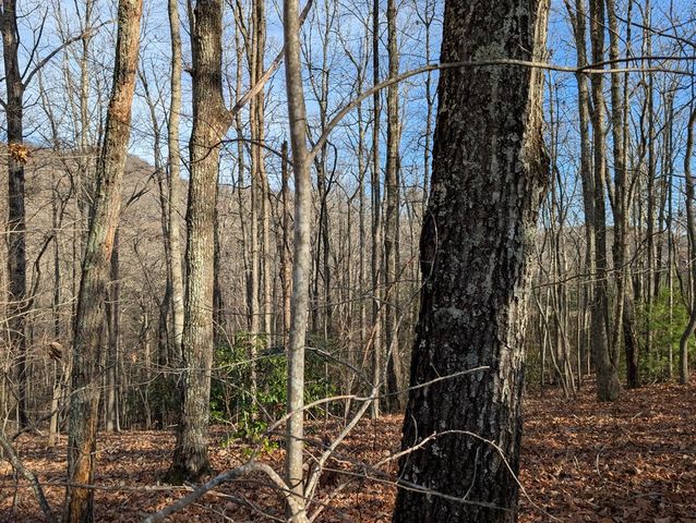 Lot 20 Wilderness Creek Way, Murphy, NC 28906