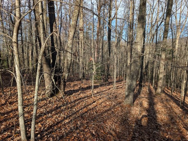 Lot 20 Wilderness Creek Way, Murphy, NC 28906