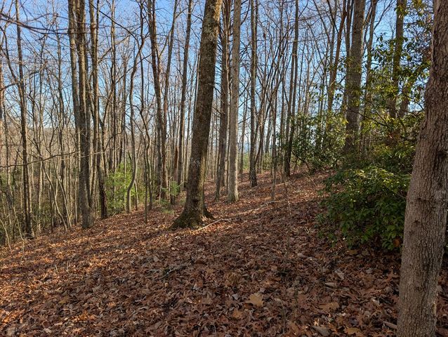 Lot 20 Wilderness Creek Way, Murphy, NC 28906