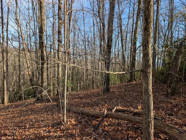 Lot 20 Wilderness Creek Way, Murphy, NC 28906