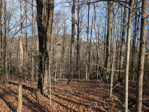 Lot 20 Wilderness Creek Way, Murphy, NC 28906