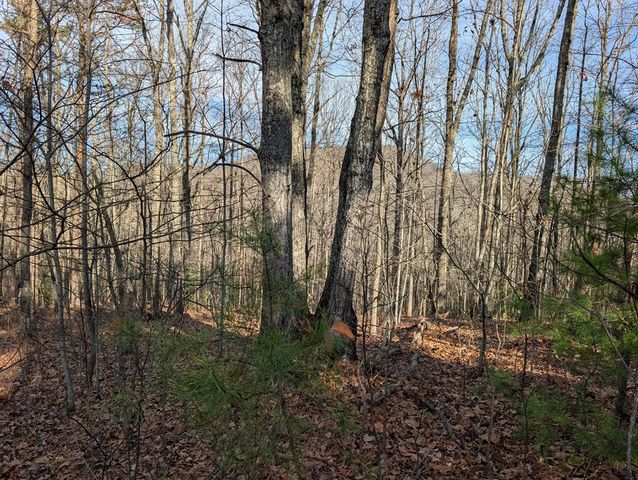 Lot 20 Wilderness Creek Way, Murphy, NC 28906