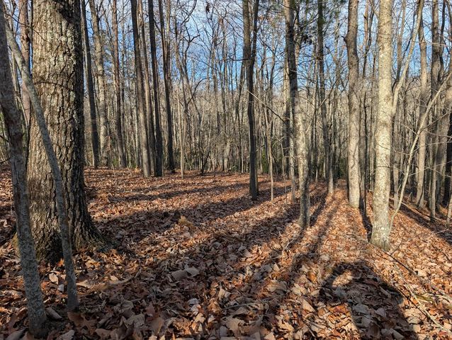 Lot 20 Wilderness Creek Way, Murphy, NC 28906