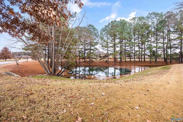 237 Riverwalk Trail, New Market, AL 35761