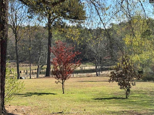 1012 Peach Festival Road, Gilbert, SC 29054