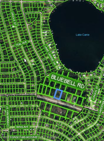 3147 Lake June Boulevard, Lake Placid, FL 33852