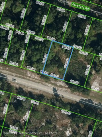 3147 Lake June Boulevard, Lake Placid, FL 33852