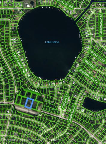 3147 Lake June Boulevard, Lake Placid, FL 33852