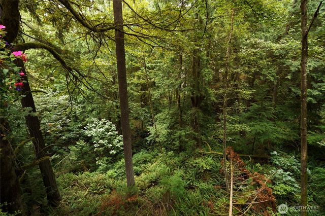 3 Catkin Court, Bellingham, WA 98229