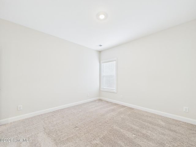 110 Symmetry Loo Loop, Youngsville, NC 27596